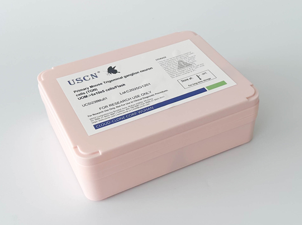 貓關節(jié)軟骨細胞(AC)原代細胞