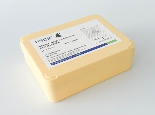 胱天蛋白酶14(CASP14)多克隆抗體