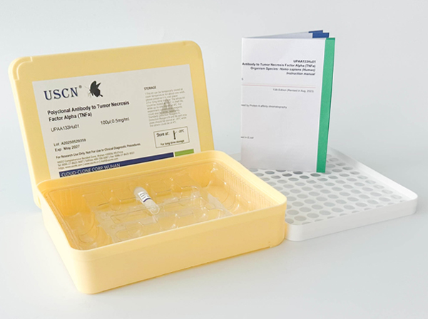 胱天蛋白酶14(CASP14)多克隆抗體